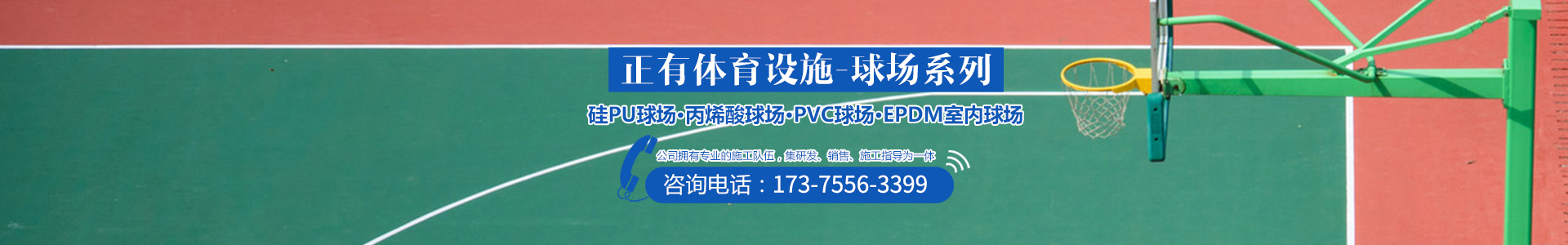 湖南正有體育設施有限公司 湖南正有體育設施有限公司